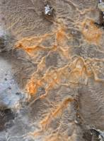 Dépôts cristallins Geysir (Islande)
